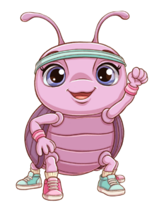lila de loopkever